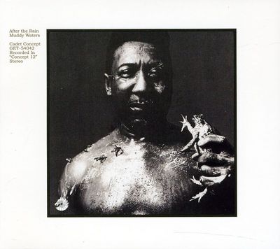 Waters, Muddy - After The Rain